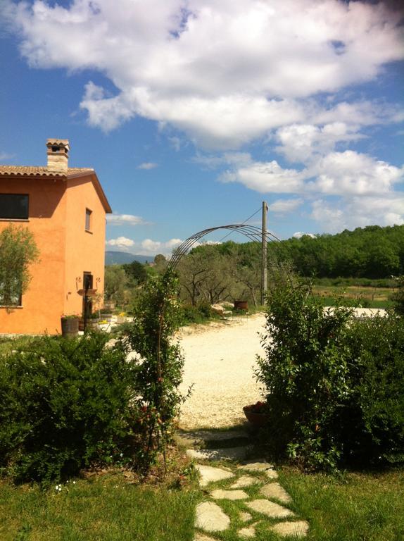 Fattoria Del Quondam Villa Giano dellʼUmbria Exteriör bild