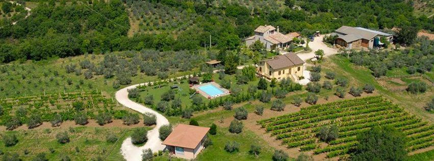 Fattoria Del Quondam Villa Giano dellʼUmbria Exteriör bild